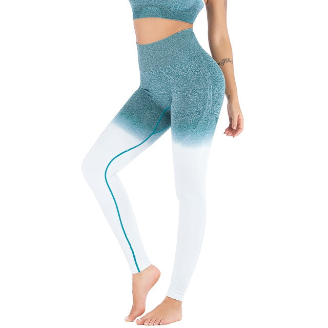 Women Sports Gym Yoga Pants Compression Tights Seamless Pants